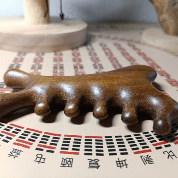 Peigne thérapeutique 4-en-1 en Bois de Santal